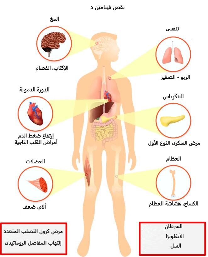 Vitamin D3